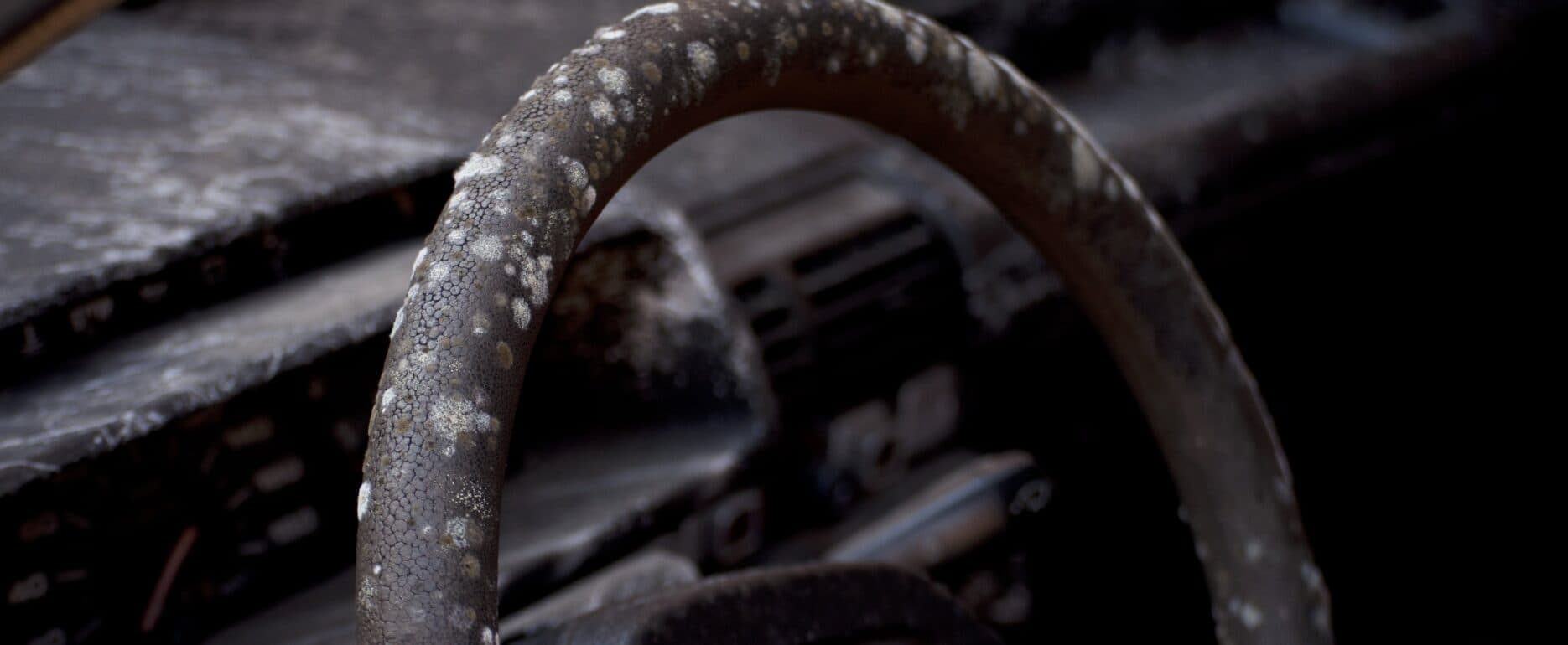 Close-up of a car interior with severe mould growth on the steering wheel and dashboard.
