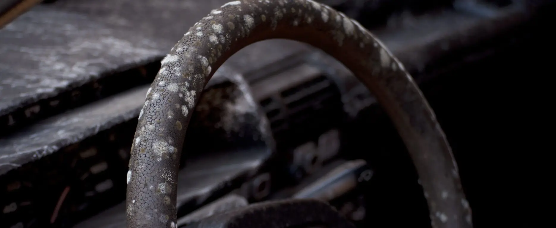 Close-up of a car interior with severe mould growth on the steering wheel and dashboard.