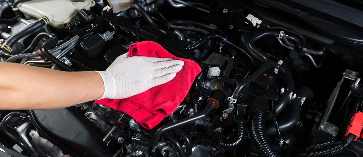Professional hand detailing of car engine bay