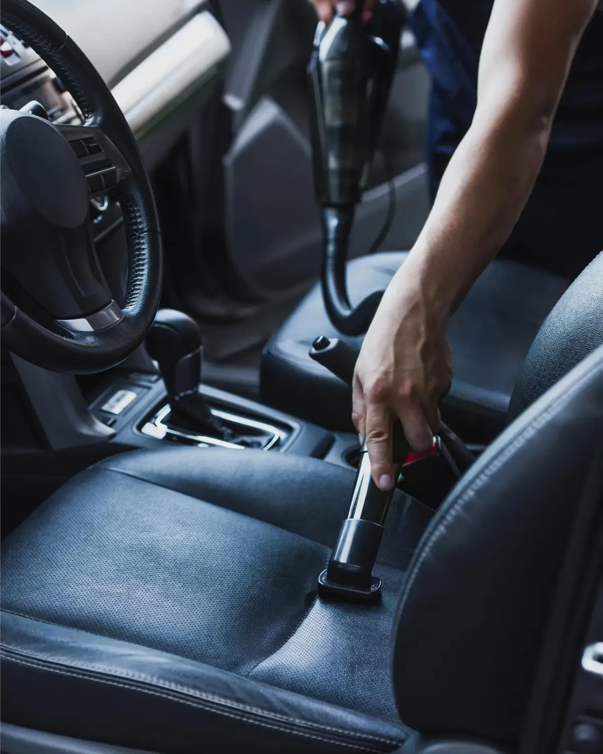 Pet hair removal from car seats