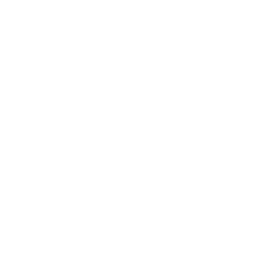 Checklist Icon