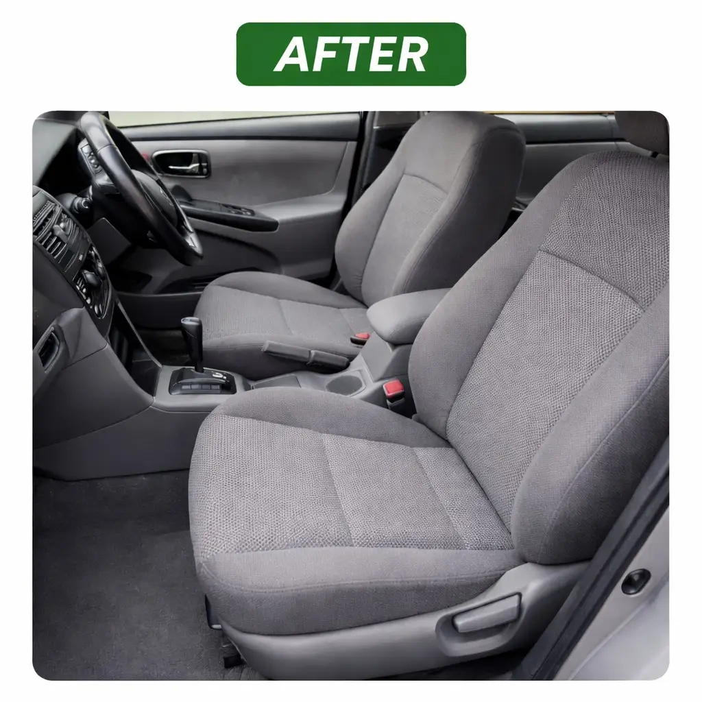 Car Mould Sanitisation and Sterilisation in London